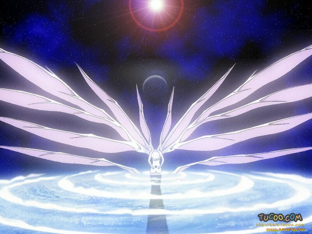 , evangelion